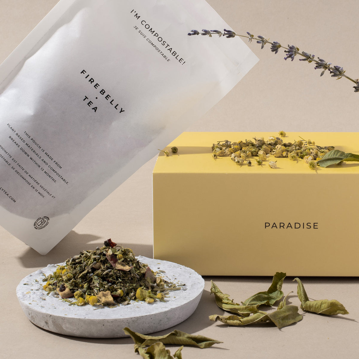 Paradise-4