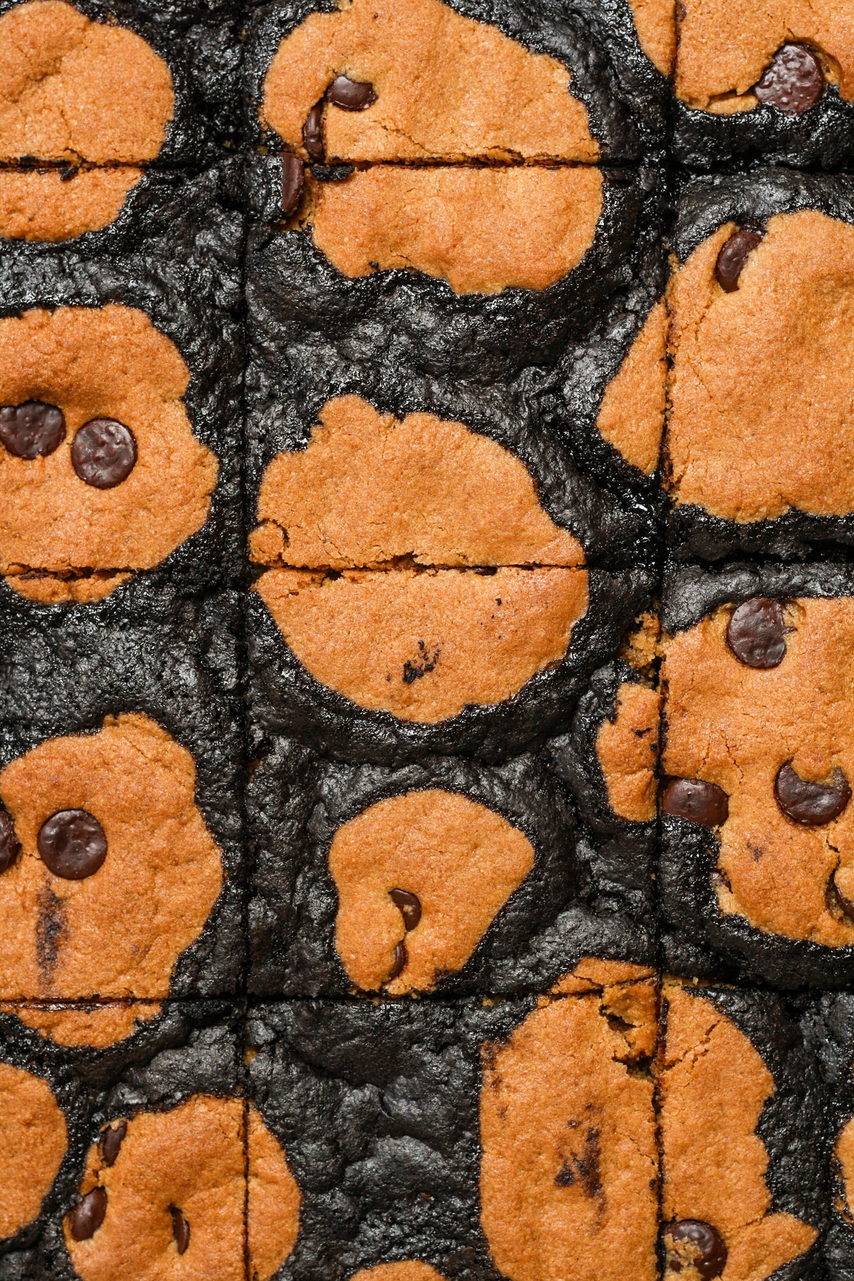Brookies-3