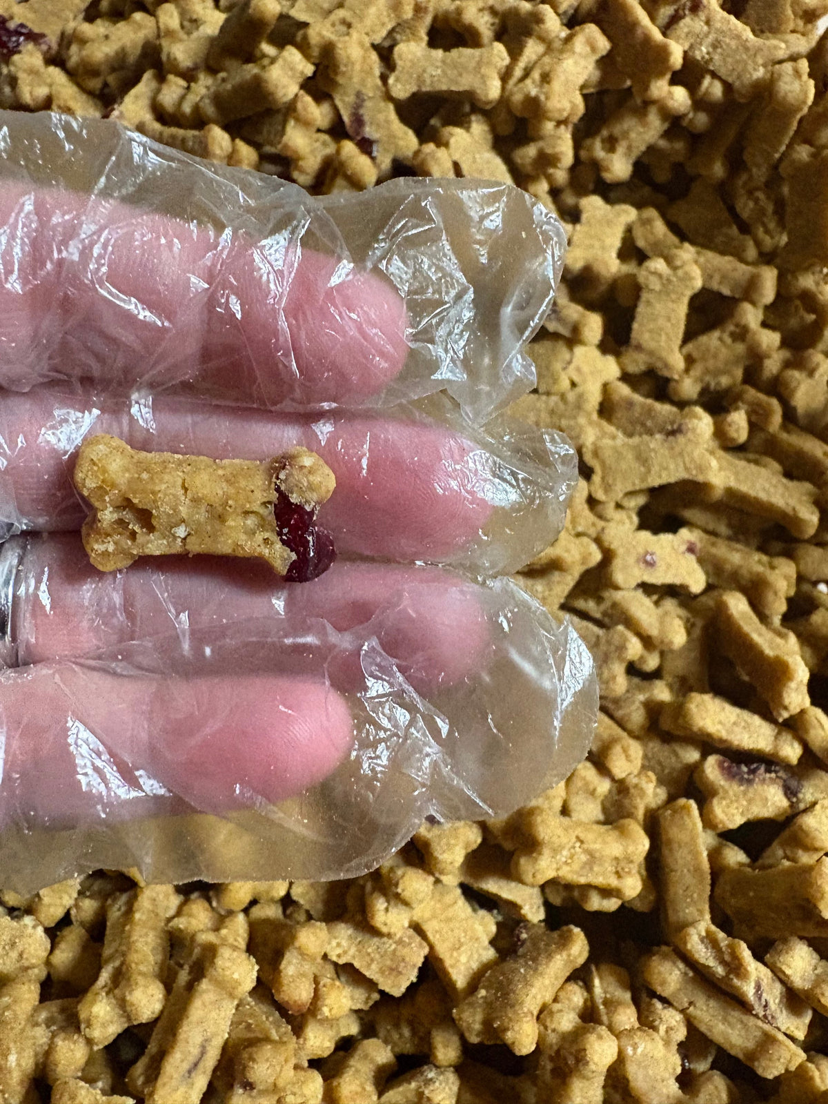 Pumpkin & Cranberry Soft Dog Treats | Made in USA-2