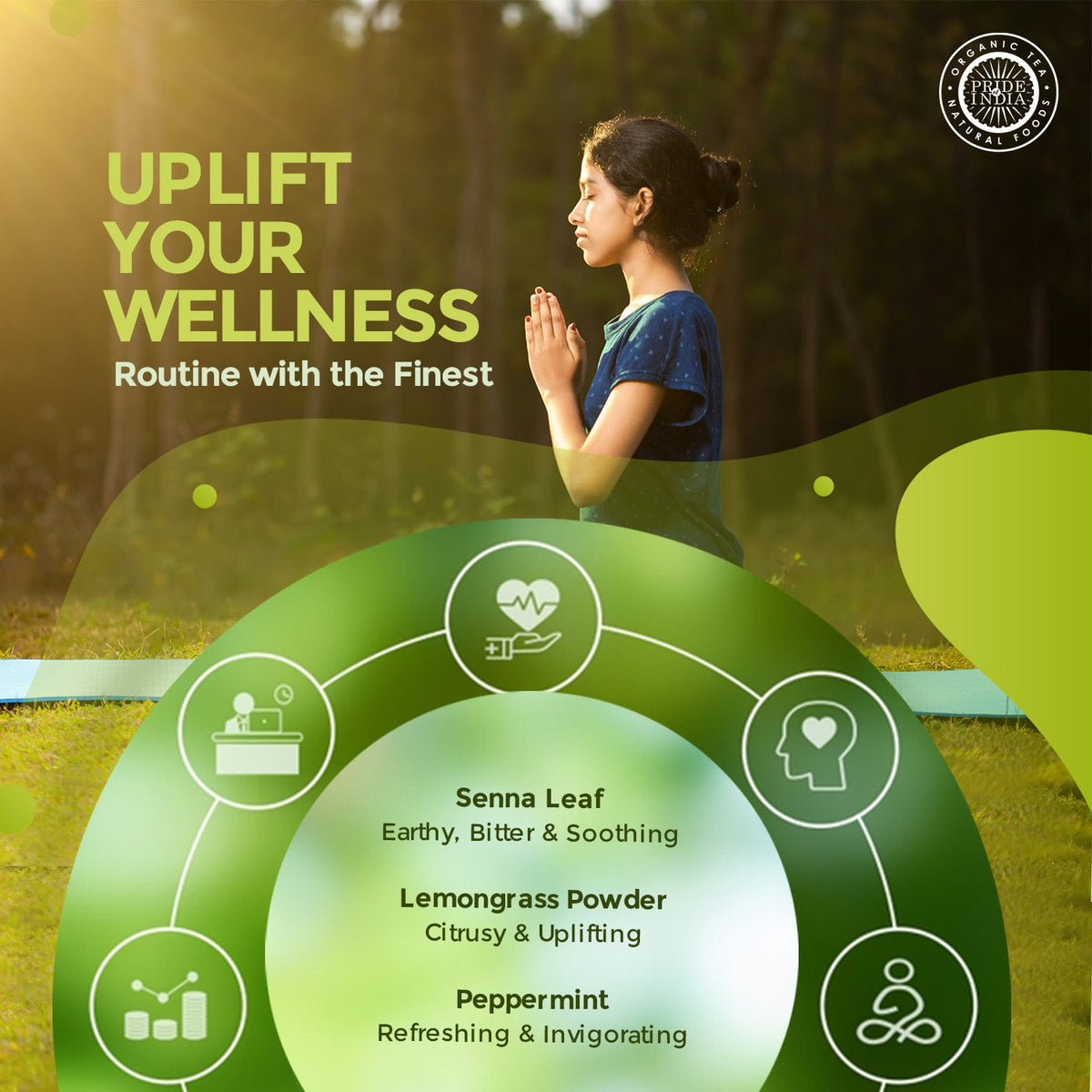 Digestive Health Trio 10.59 oz (300 gm) | Includes Mint Leaf Whole, Lemongrass Fine Cut & Senna Herbal Tea Leaf Whole | Perfect for Hot/Iced Tea, Mocktails | Promotes Inner Wellness | 3 PACK of 3.53 oz-4