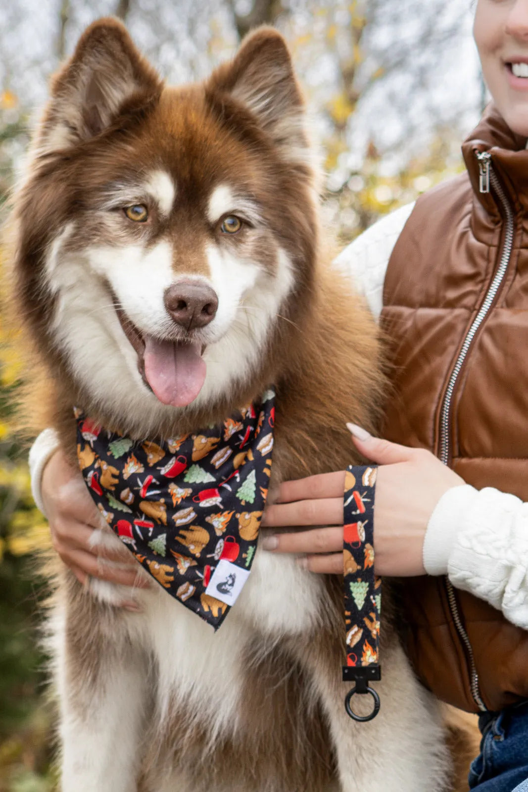 Woodland Tales Dog Bandana & Matching Keychain-1