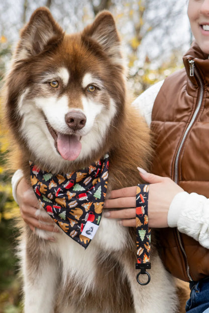 Woodland Tales Dog Bandana & Matching Keychain-1