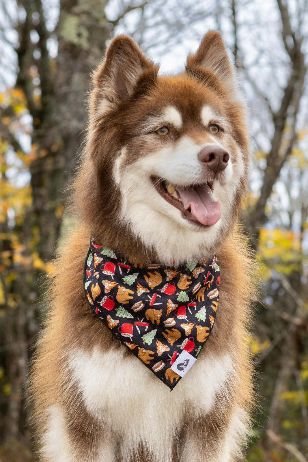 Woodland Tales Dog Bandana & Matching Keychain-2