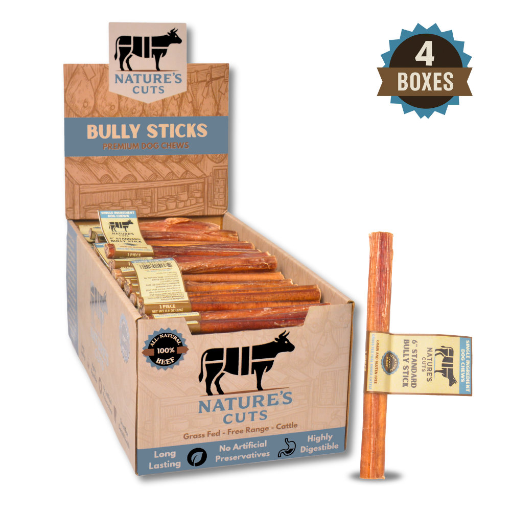 6" Standard Bully Sticks Display Box-6