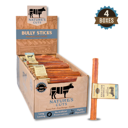 6" Standard Bully Sticks Display Box-6