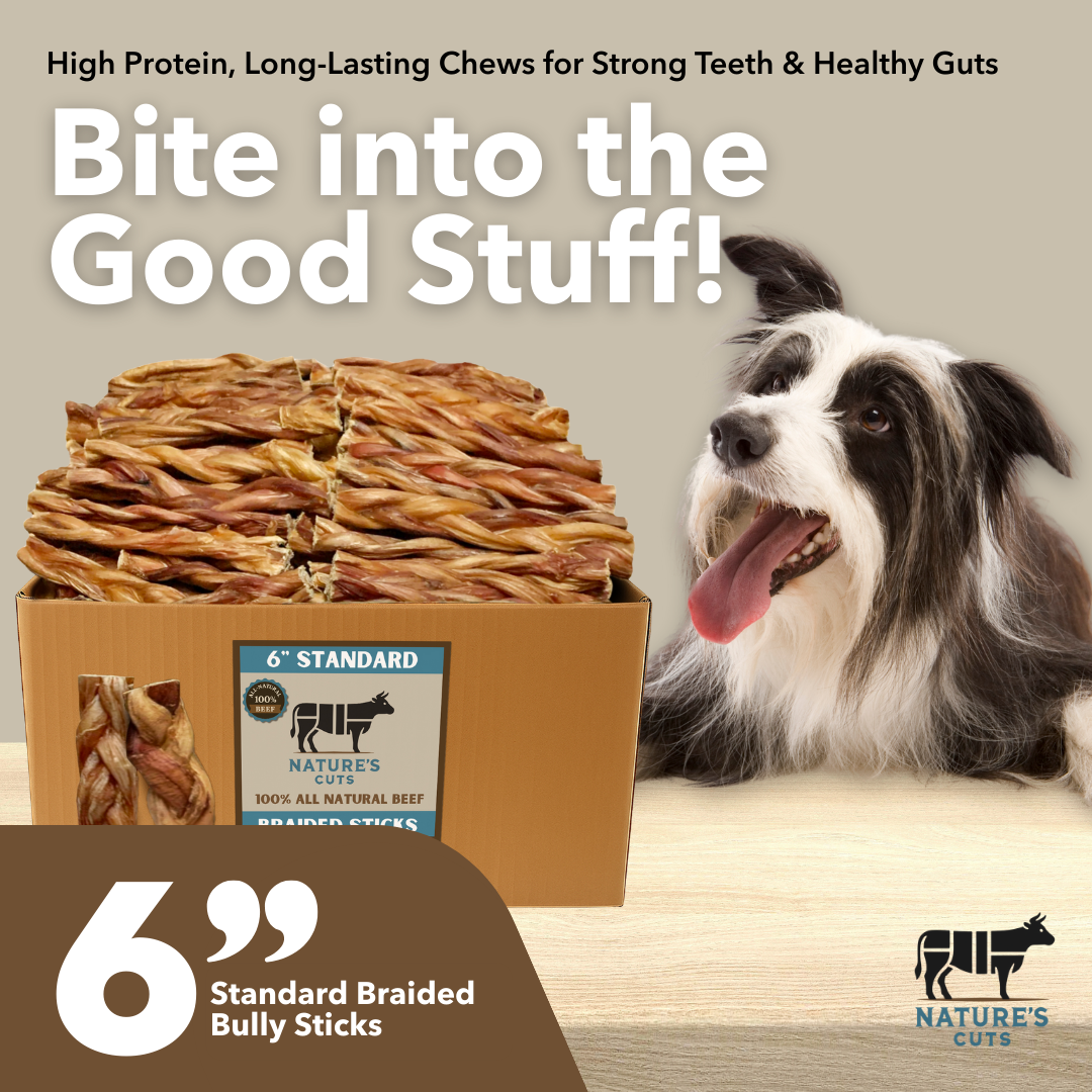 6" Standard Braided Bully Sticks-1