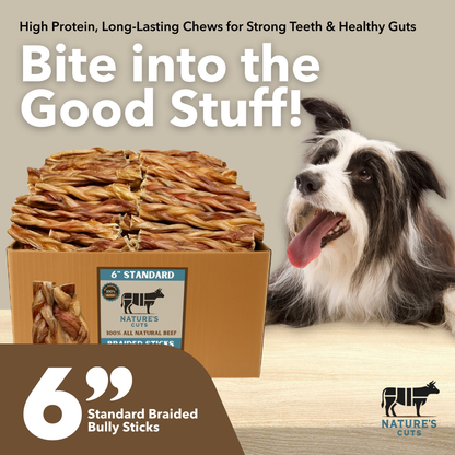 6" Standard Braided Bully Sticks-1
