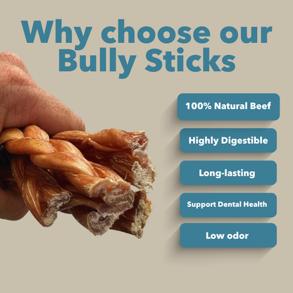 6" Standard Braided Bully Sticks-2