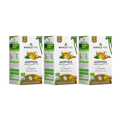Organic Moringa Tea - Ginger - Caffeine-Free Herbal Tea-5