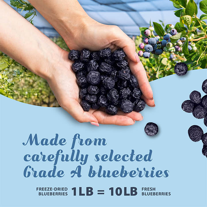 Freeze-Dried Blueberry - Grade A Blueberries - Ideal for Snacks - Single Ingredient-1