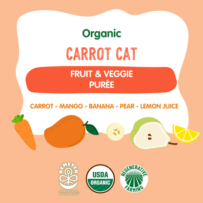 Holle Organic Carrot Cat - Fruit & Veggie Purée Pouches