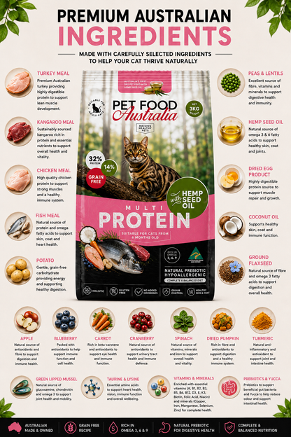 Cat Dry Food-1