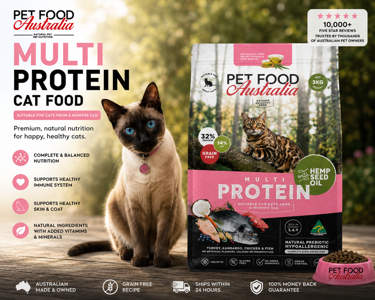 Cat Dry Food-2