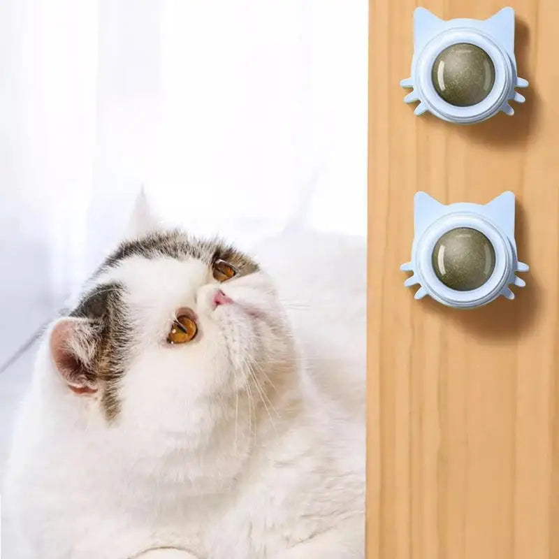 Catnip Lollipop Ball Toy for Cats-2