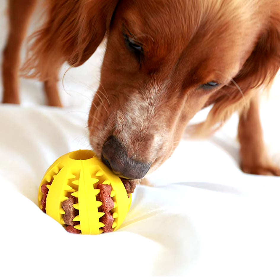 Chew & Treat Ball for Dogs-2