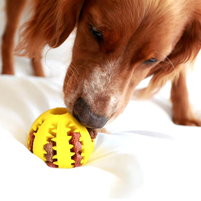 Chew & Treat Ball for Dogs-2