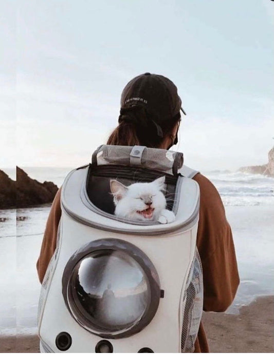Cats and Dogs Backpack-0