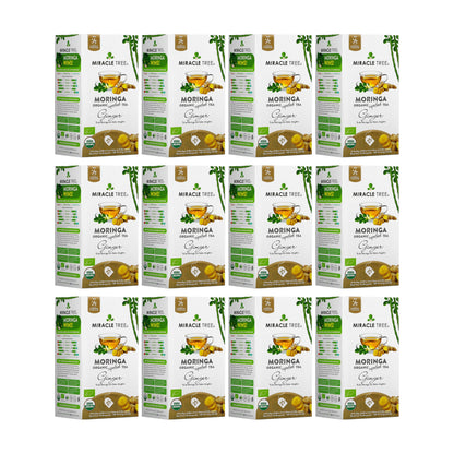 Organic Moringa Tea - Ginger - Caffeine-Free Herbal Tea-7