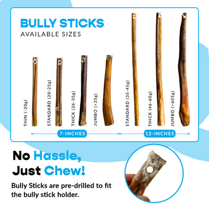 12" Thick Bully Sticks - Refill Pack-3