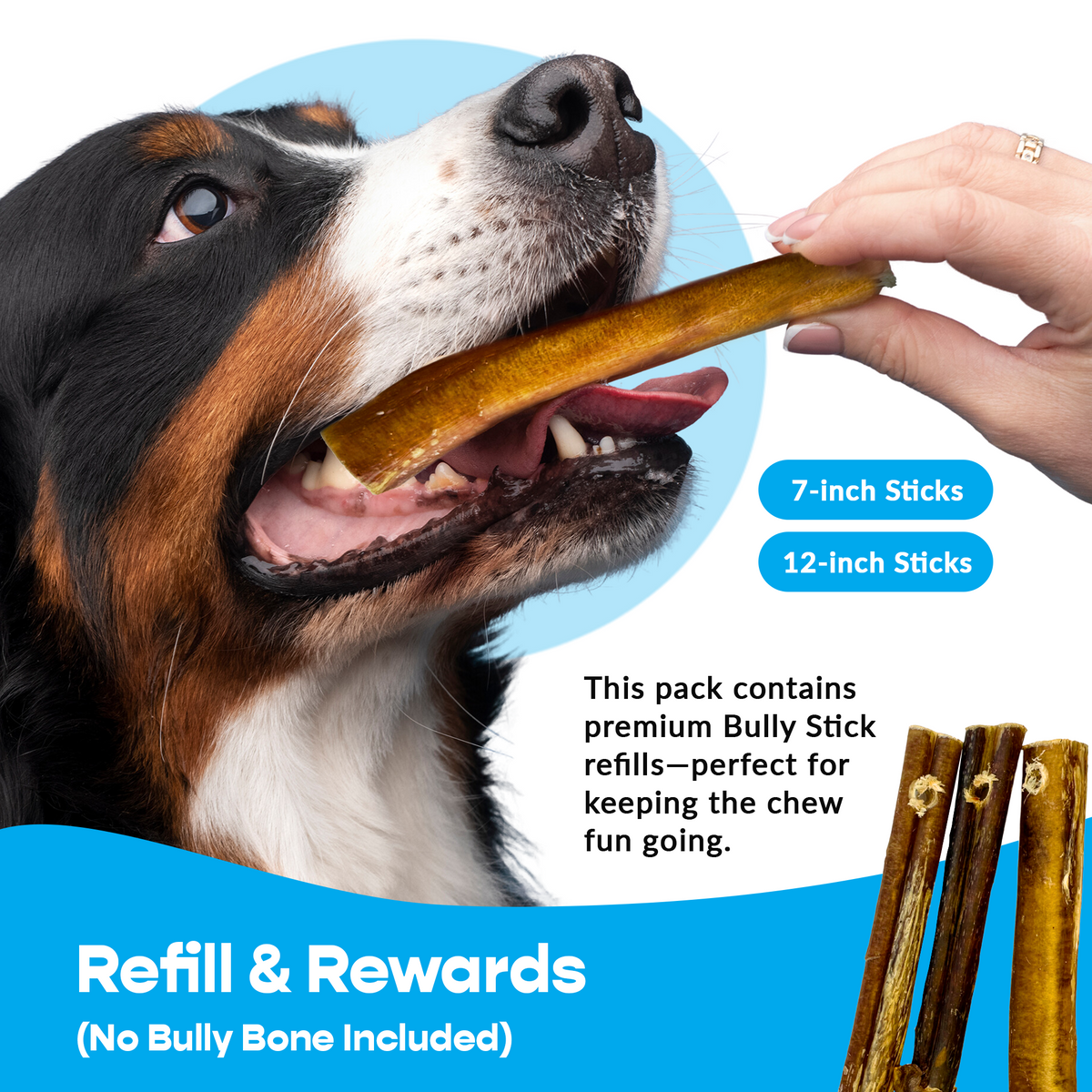 12" Thick Bully Sticks - Refill Pack-4
