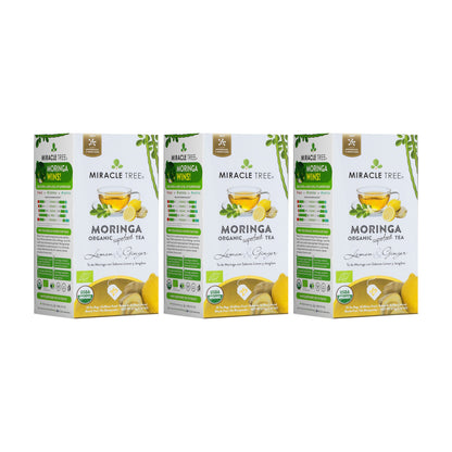 Organic Moringa Tea - Lemon & Ginger - Caffeine-Free Herbal Tea-5