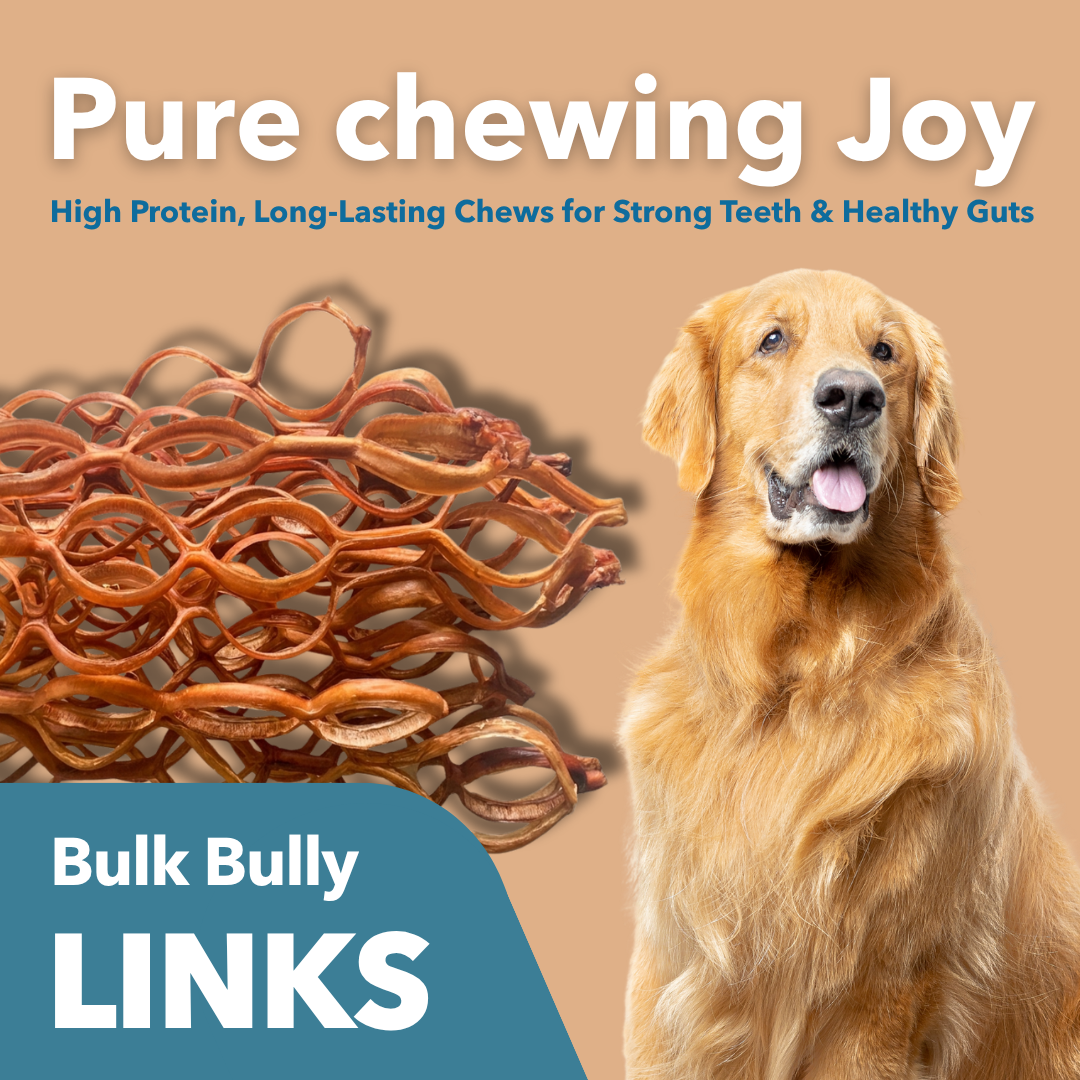 Bulk Bully Links-1