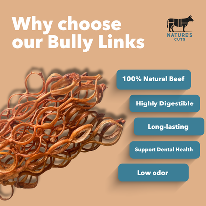 Bulk Bully Links-2