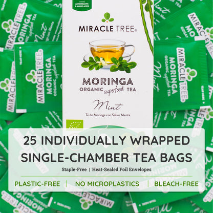 Organic Moringa Tea - Mint - Caffeine-Free Herbal Tea-4