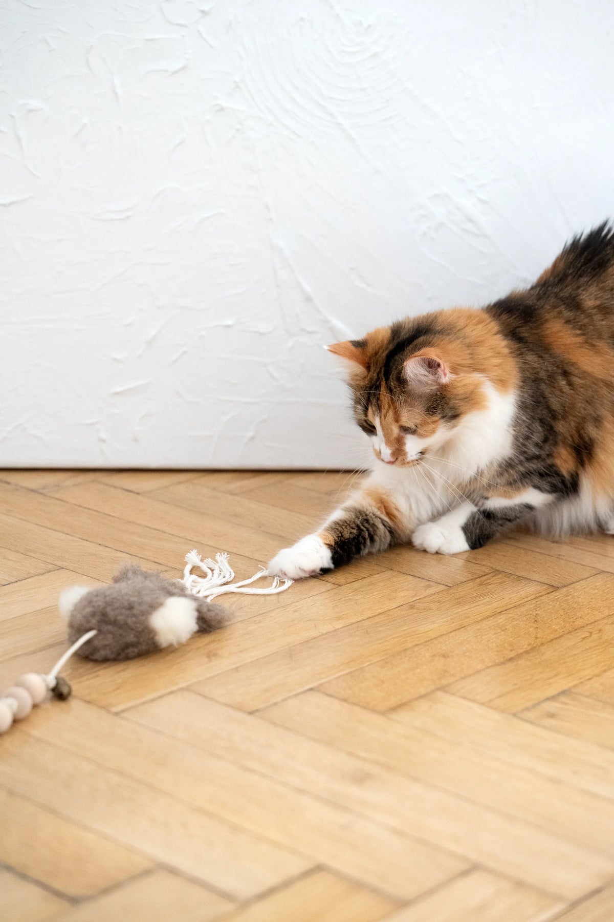 Natural Sheepskin Cat Toy: Squid-1