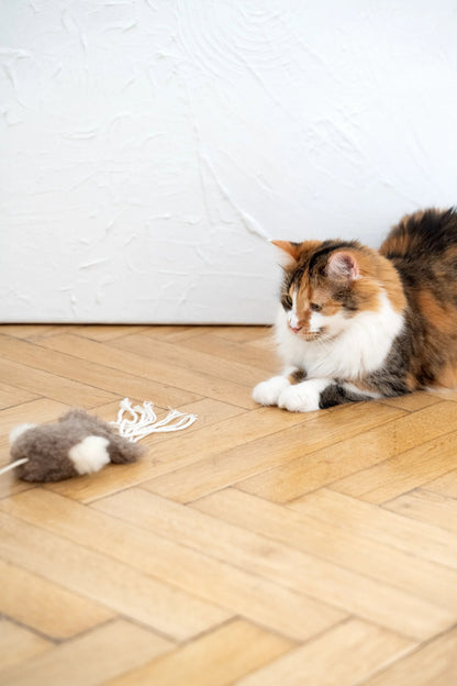 Natural Sheepskin Cat Toy: Squid-3