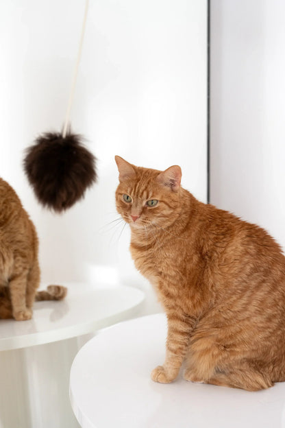 Natural Woolen Cat Toy: Ball-2