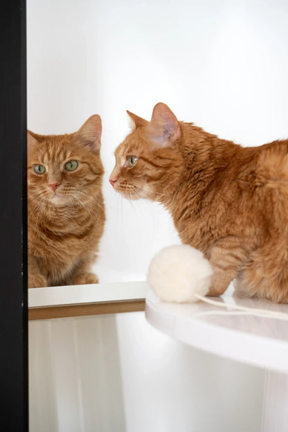 Natural Sheepskin Cat Toy: Ball-2