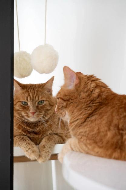 Natural Woolen Cat Toy: Ball-1