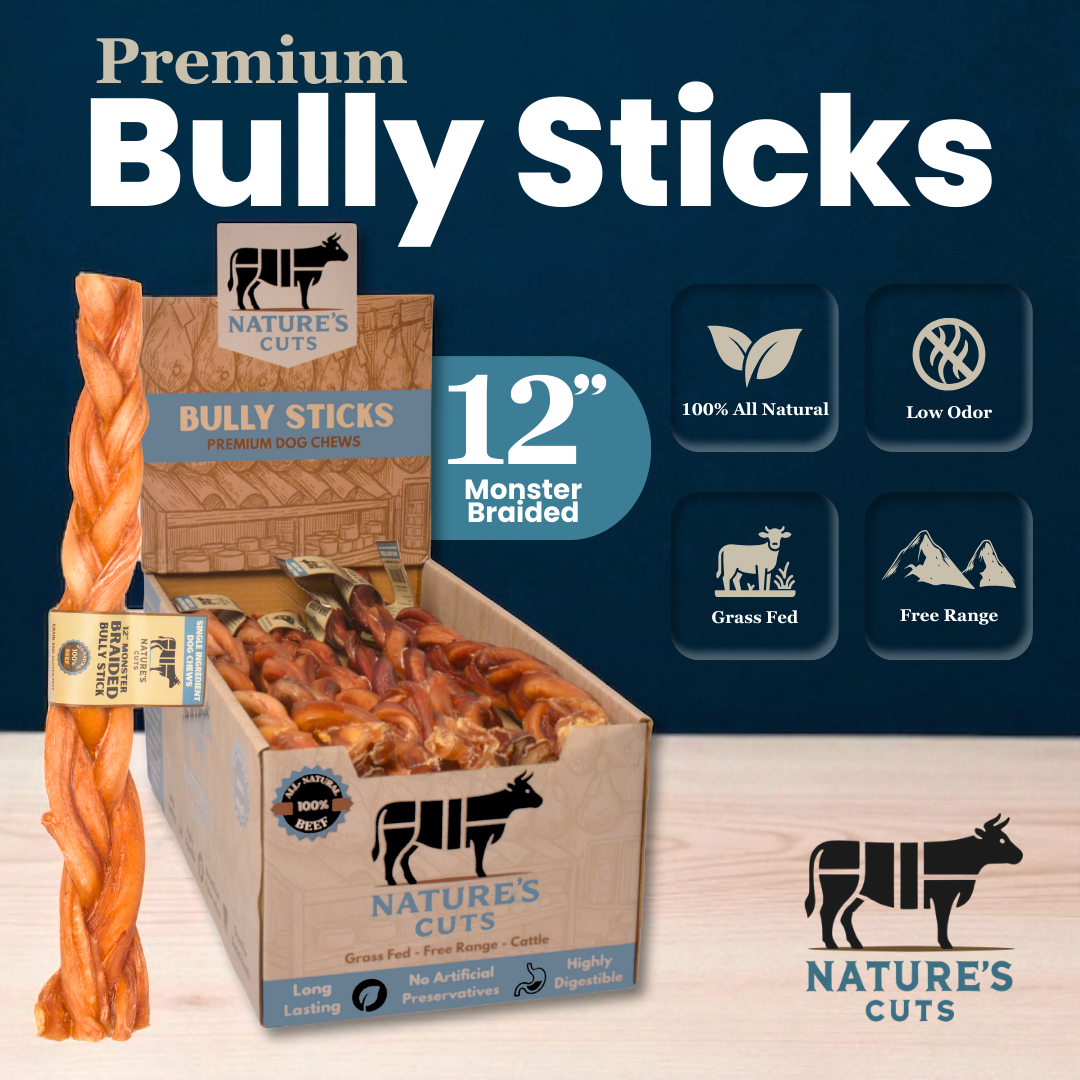 12" Monster Braided Bully Sticks Display Box-1