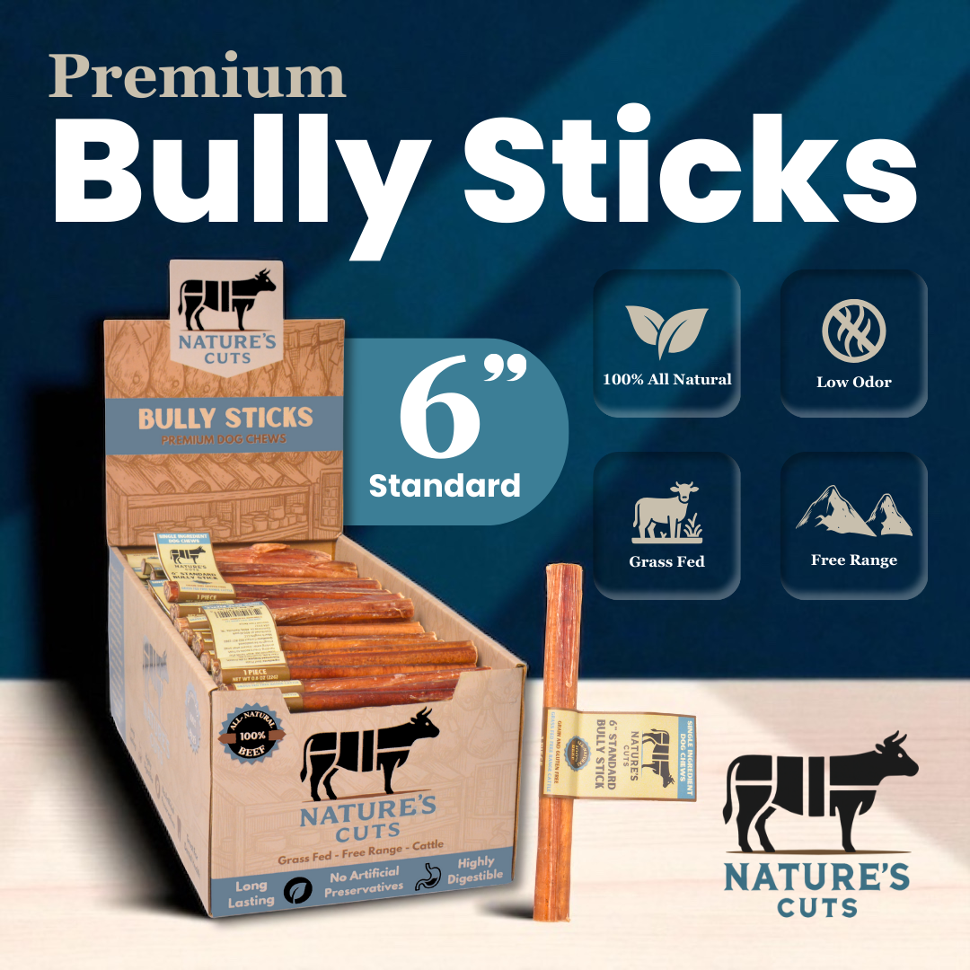 6" Standard Bully Sticks Display Box-1