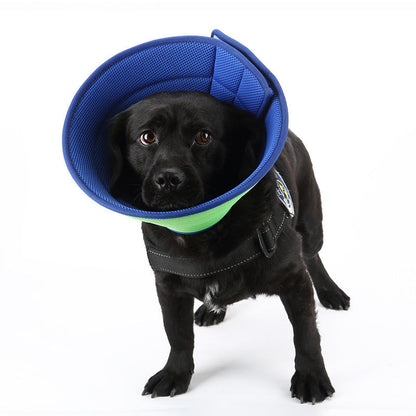 Pet Recovery Collar for Dogs and Cats-0
