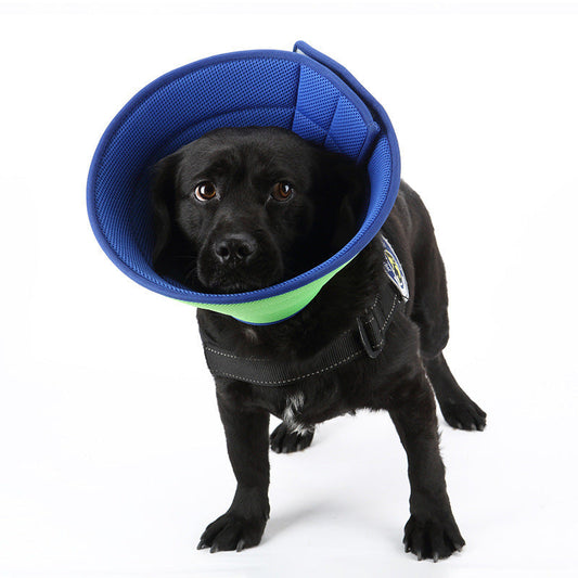Pet Recovery Collar for Dogs and Cats-0