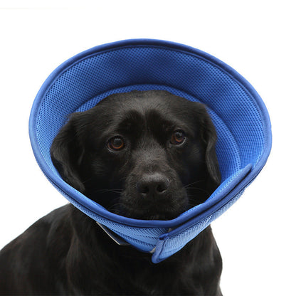 Pet Recovery Collar for Dogs and Cats-4