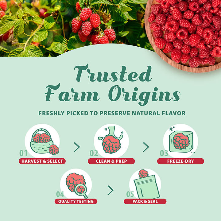 Freeze-Dried Raspberry Whole - Grade A Raspberries - Single Ingredient-2