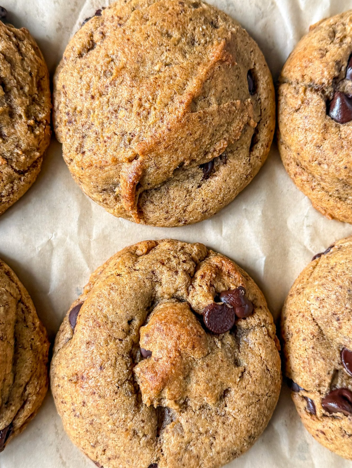 Creatine Chocolate Chip Cookie-4