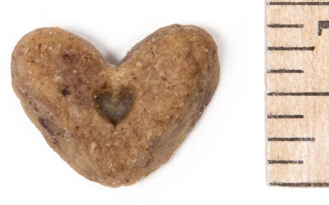 Vanilla Crunchy Dog Treats | Beyondwhiskers-0