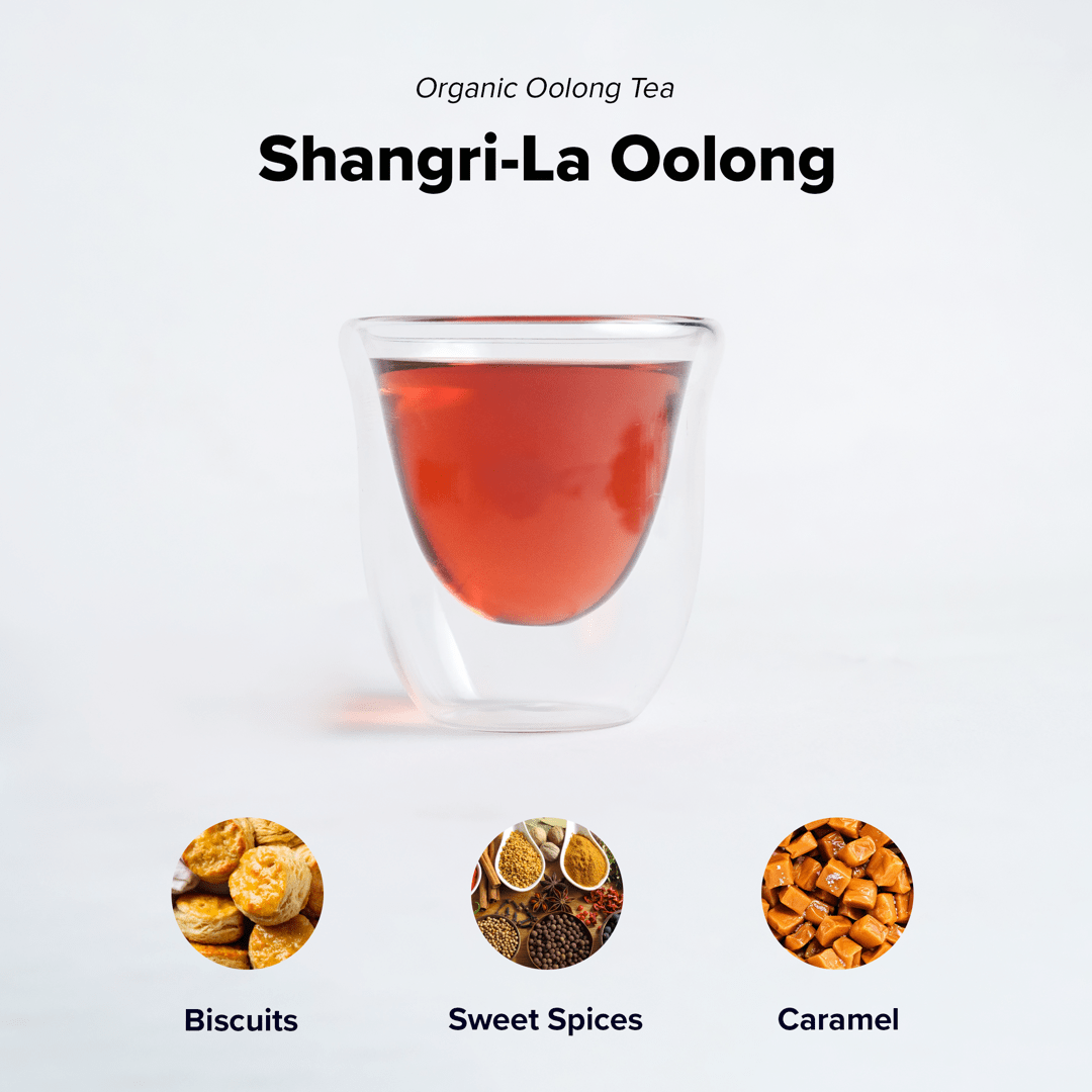 Organic Shangri-La Oolong | Wholesale-1