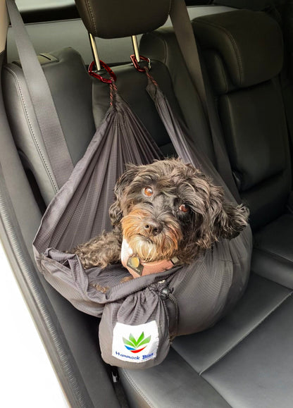 Sky Dog-3