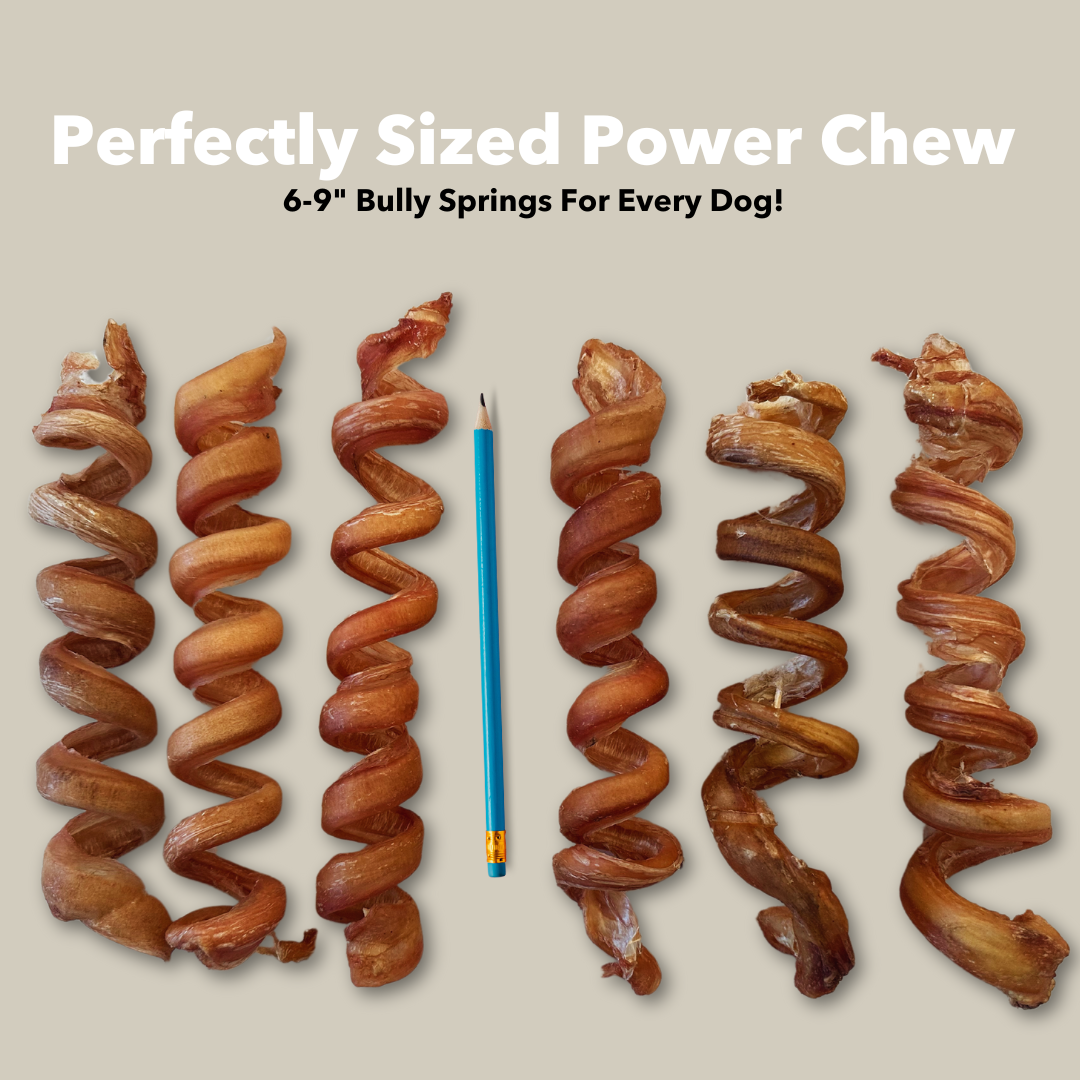 6-9" Bulk Bully Springs-4