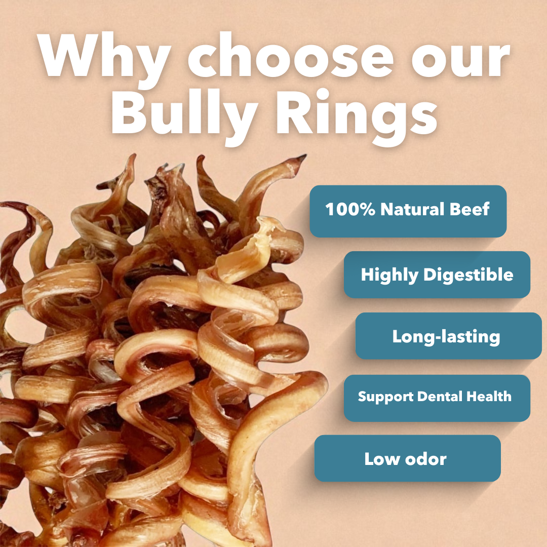 6-9" Bulk Bully Springs-2