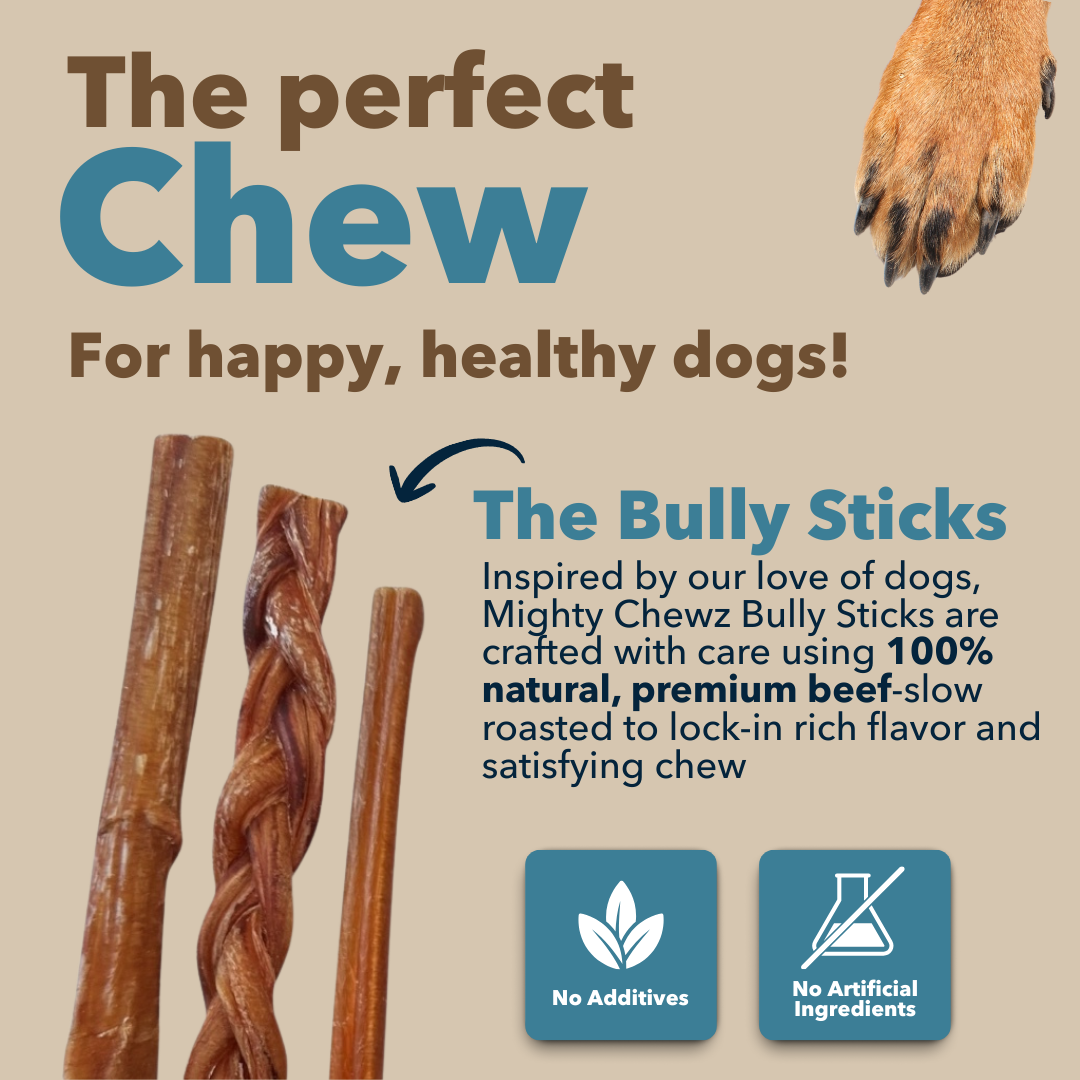 6" Standard Braided Bully Sticks-4