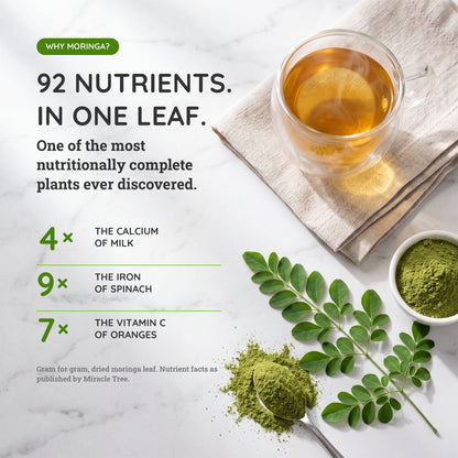 Organic Moringa Tea - Mint - Caffeine-Free Herbal Tea-3