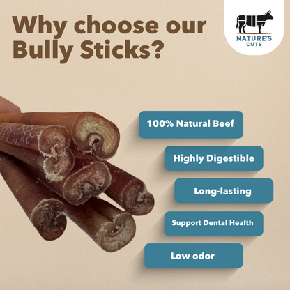 6" Standard Bully Sticks Display Box-3