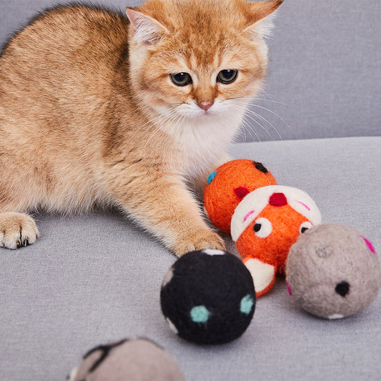 Wool Toys for Cats-0