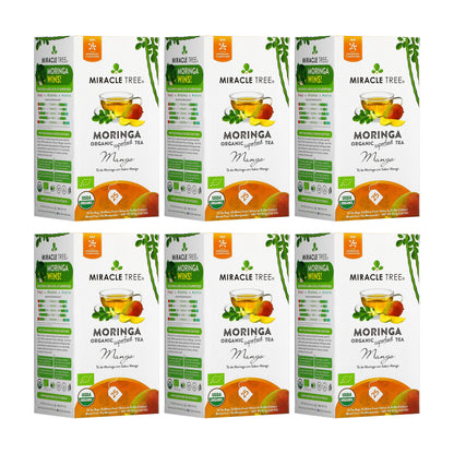 Organic Moringa Tea - Mango - Caffeine-Free Herbal Tea-6